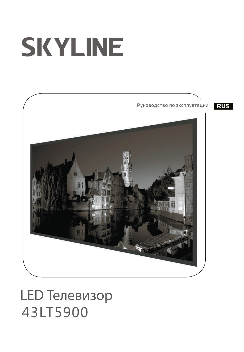 43" (109 см) Телевизор Skyline 43LT5900