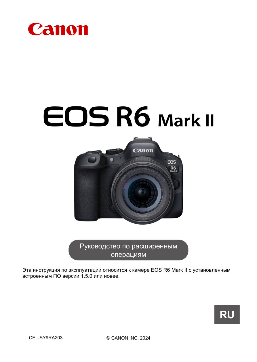Беззеркальный фотоаппарат Canon EOS R6 Mark II Kit 24-105mm IS STM