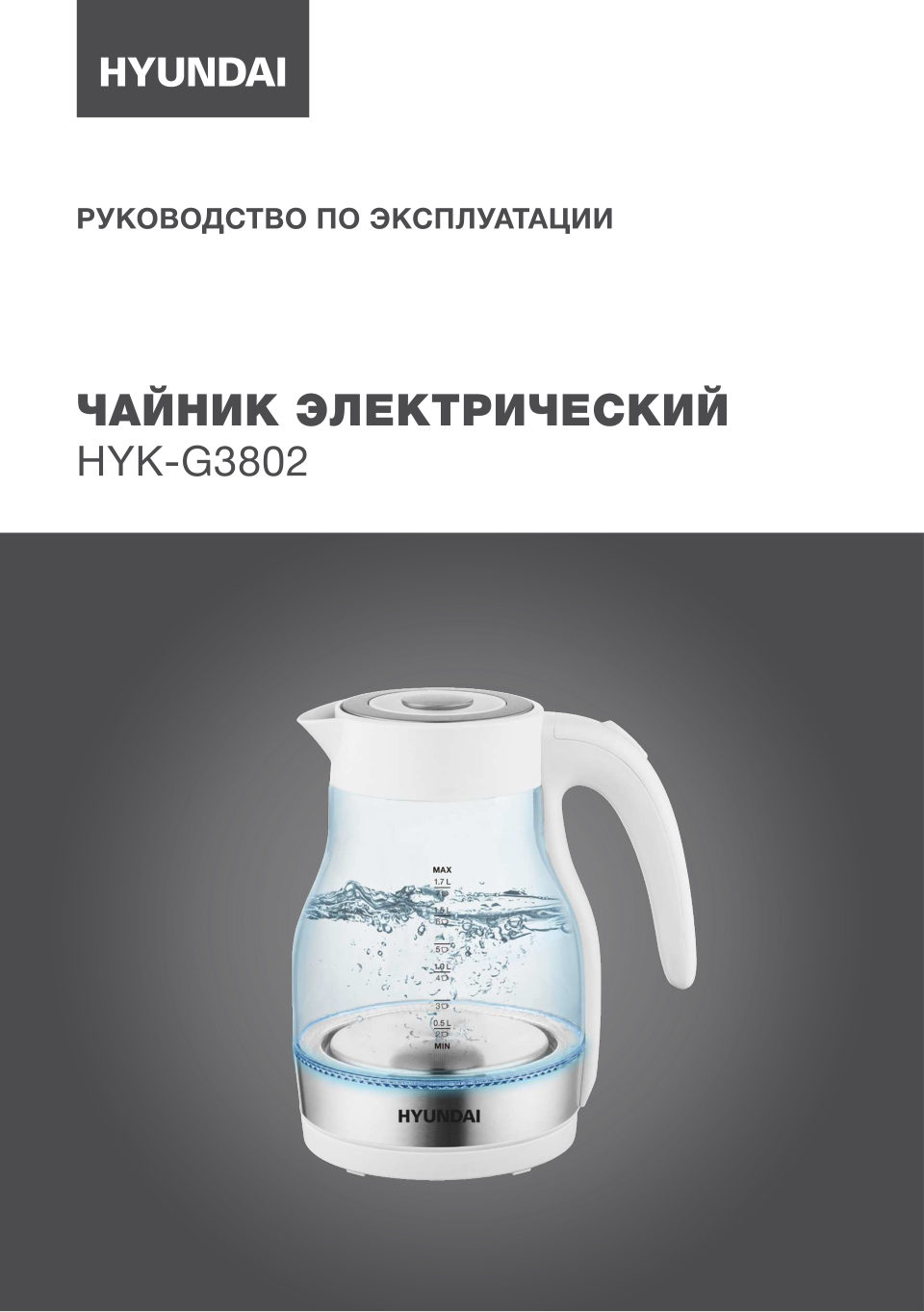 Электрочайник Hyundai HYK-G3802