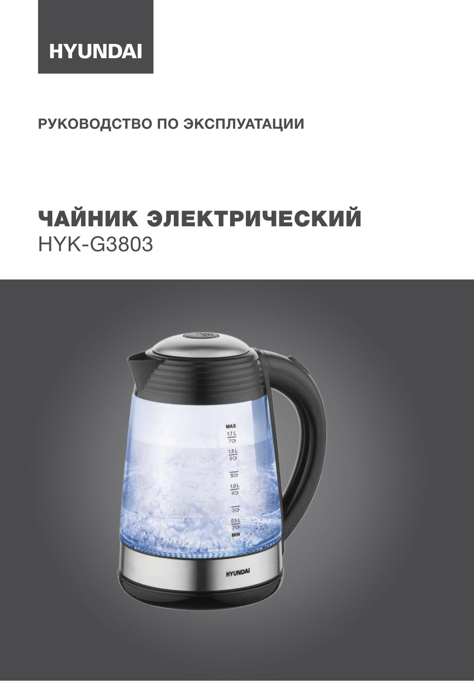 Электрочайник Hyundai HYK-G3803
