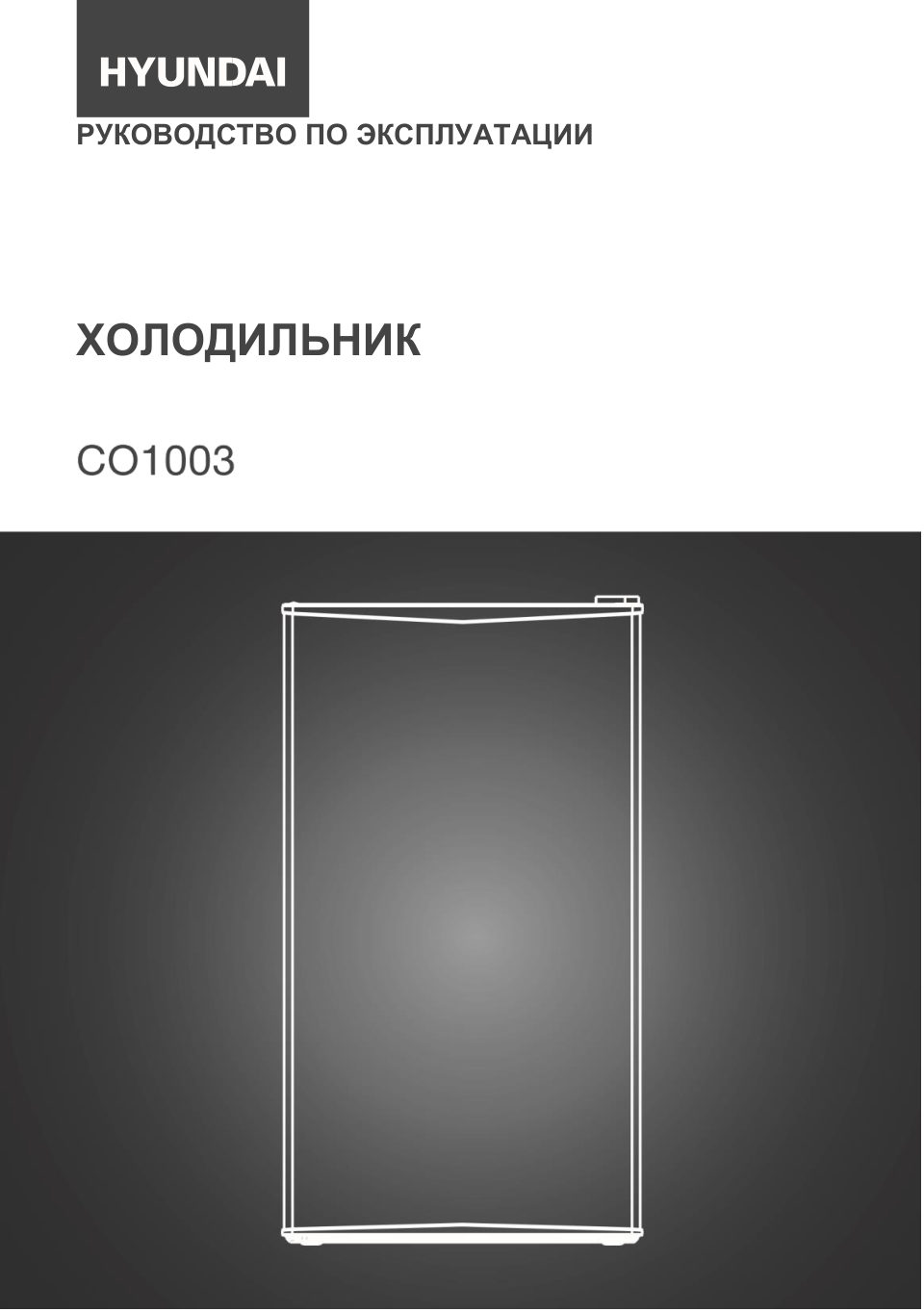 Холодильник Hyundai CO1003