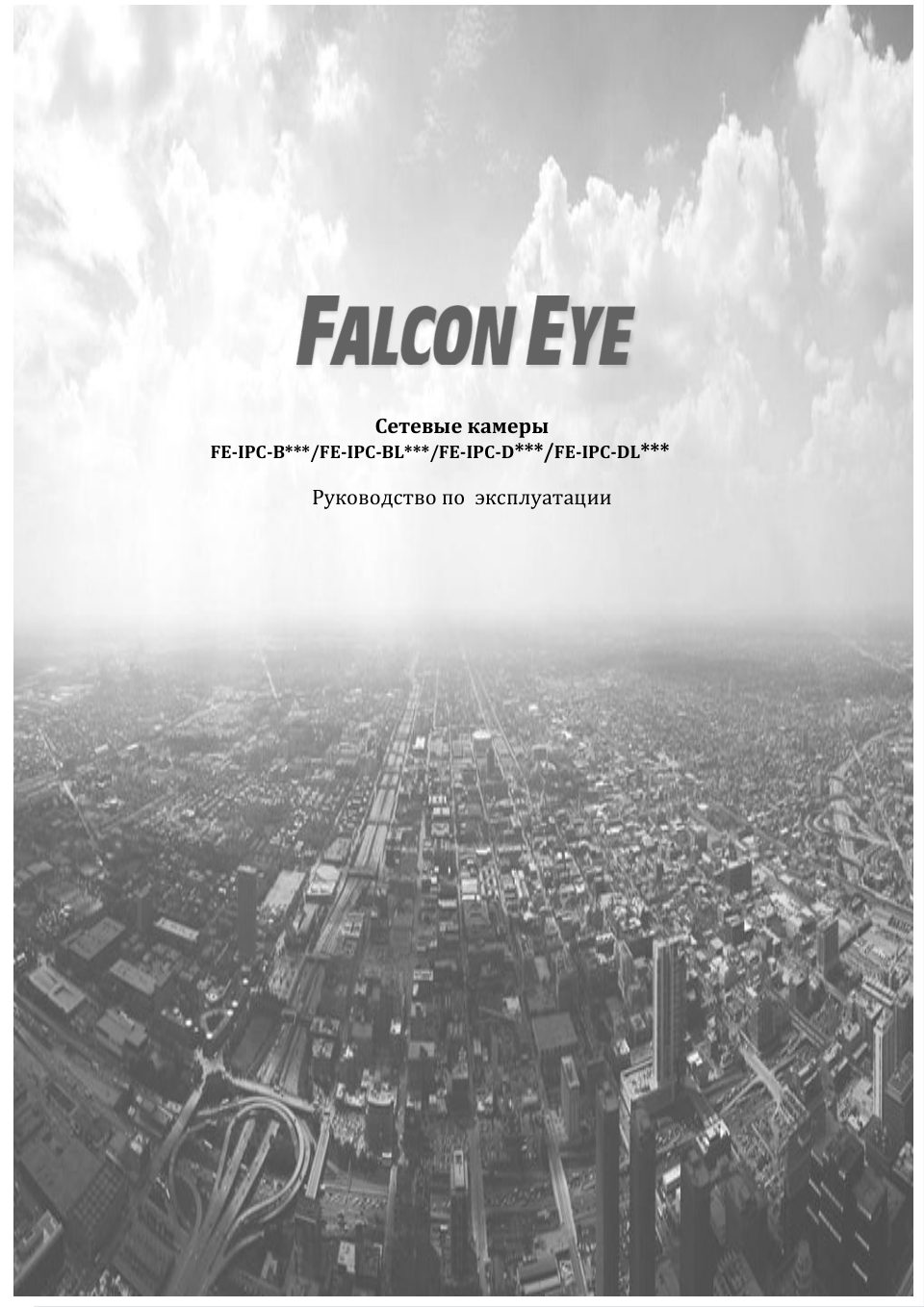 IP-камера Falcon Eye FE-IPC-D2-30p