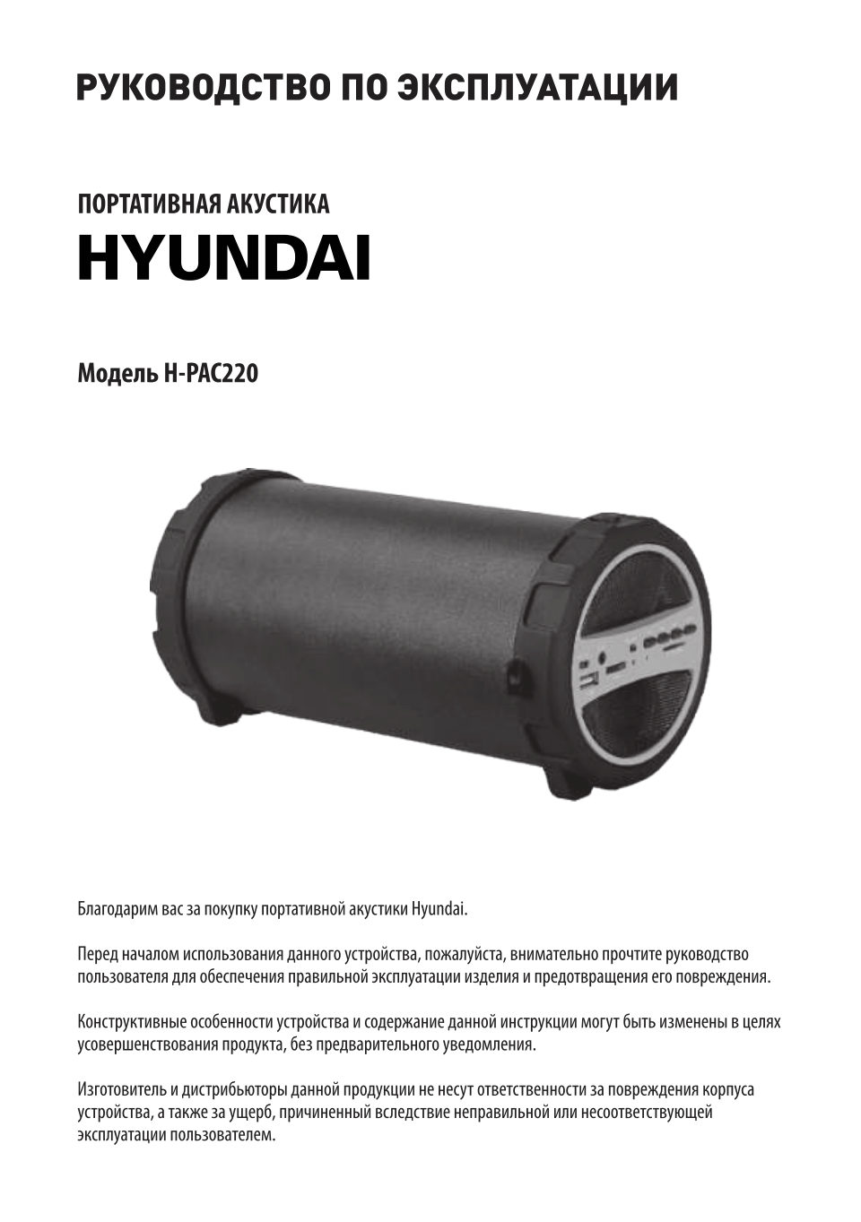 Портативная колонка Hyundai H-PAC220,