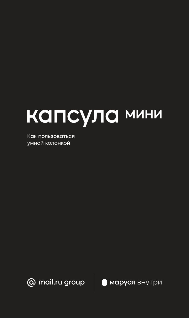 Умная колонка VK Капсула Мини